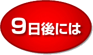 ９日後には…すると、あなたに奇跡が起こる
