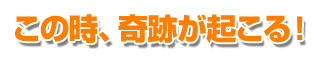 この後、奇跡が起こる