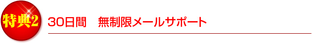 特典２　３０日間　無制限メールサポート